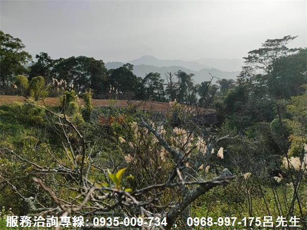 苗栗銅鑼農地-4