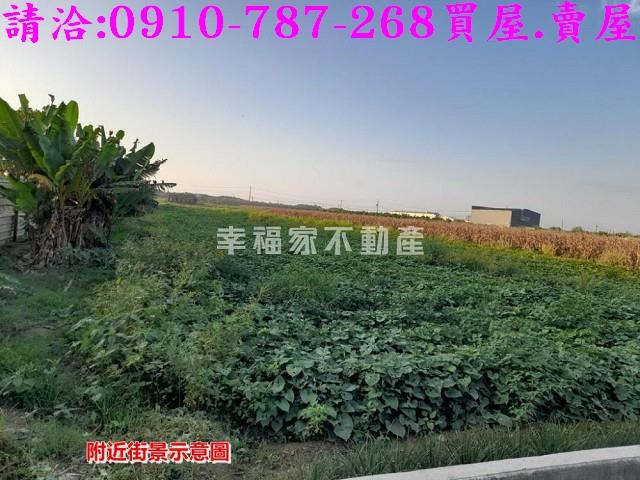 台南下營農地-3