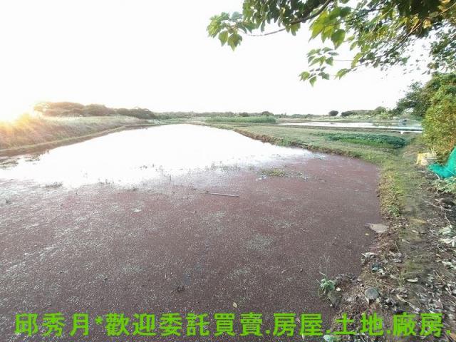 新北農地_都市計畫內-1