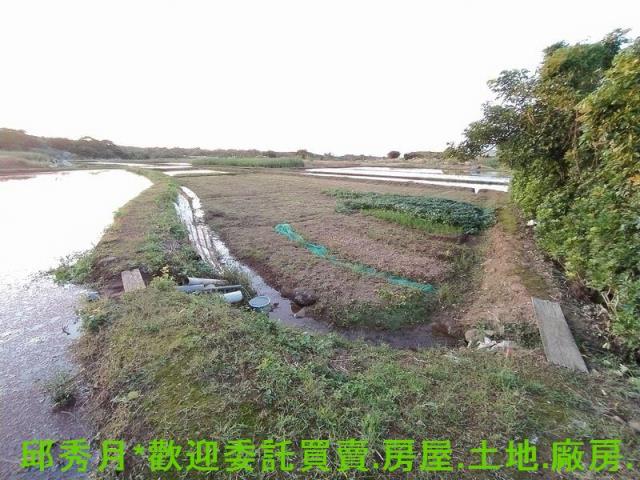 新北農地_都市計畫內-2