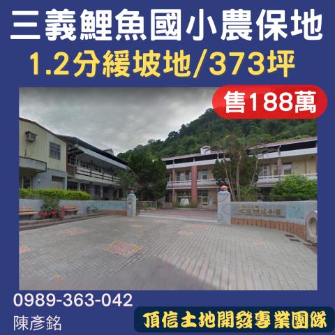 苗栗法拍農地_山坡地-1