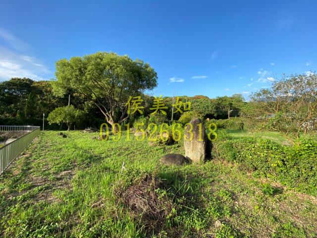 竹崎農地_建地-11