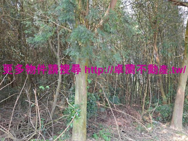 苗栗卓蘭農地-2
