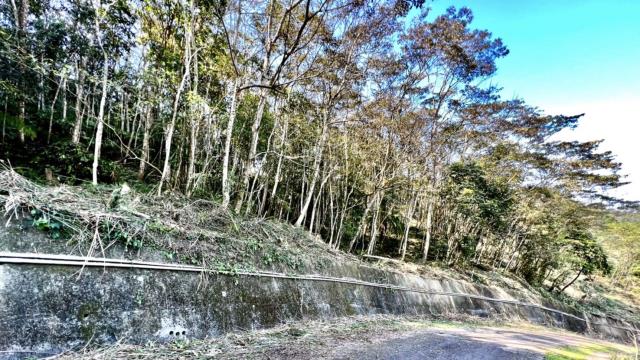 新竹農地_山坡地_休閒地-11