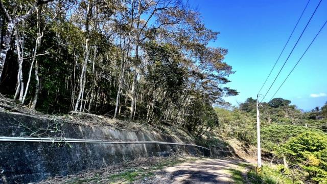 新竹農地_山坡地_休閒地-12