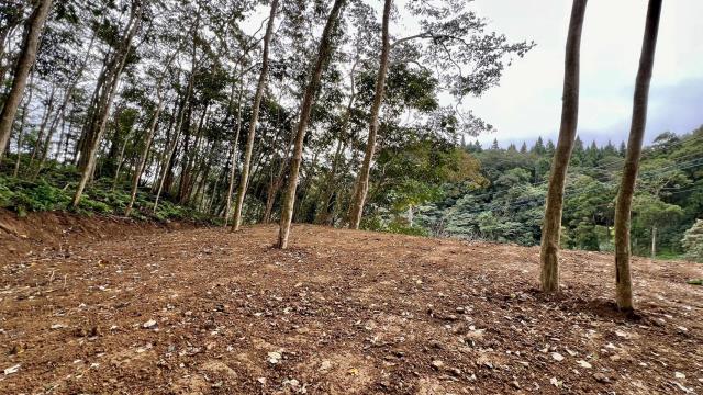 新竹農地_山坡地_休閒地-2