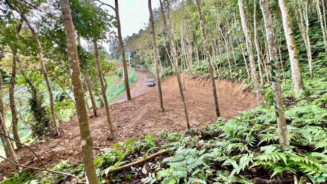 新竹農地_山坡地_休閒地-3