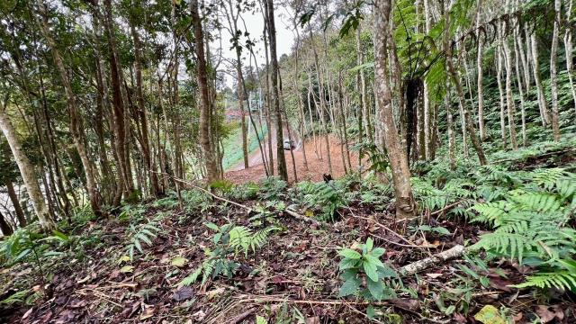新竹農地_山坡地_休閒地-4