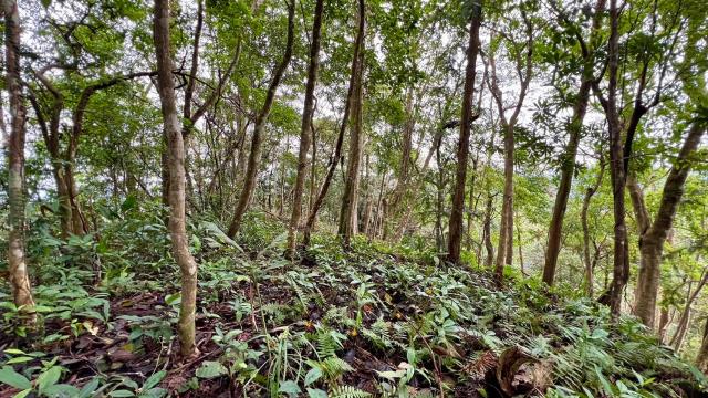 新竹農地_山坡地_休閒地-6