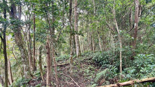 新竹農地_山坡地_休閒地-7