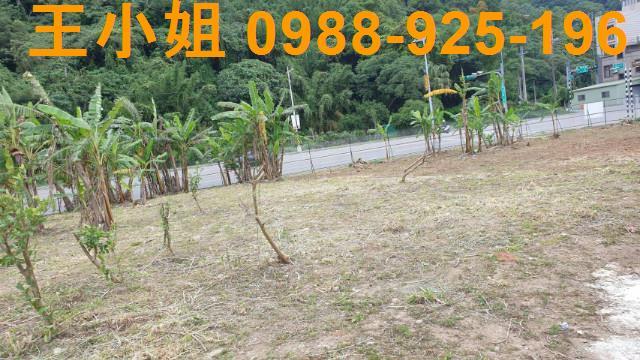 桃園農地-4