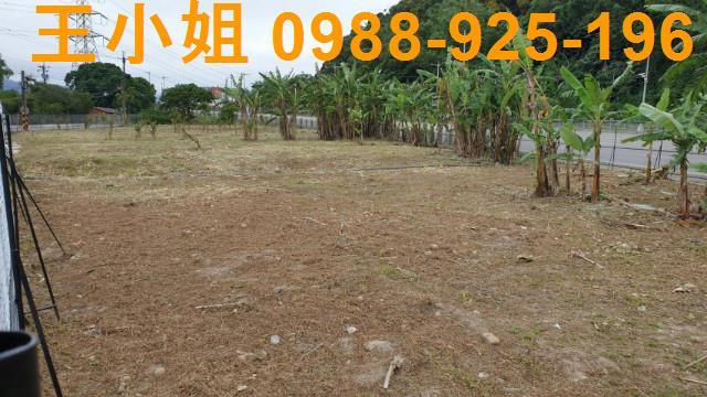 桃園農地-6
