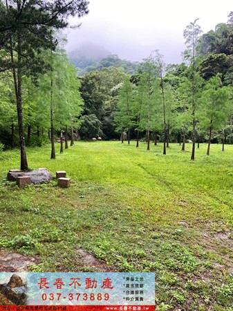 公館農地_休閒地_林地-2