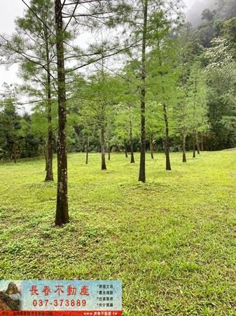 公館農地_休閒地_林地-3