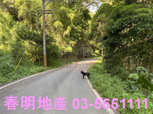 新竹橫山農地_林地_道路地-1
