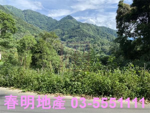 新竹橫山農地_林地_道路地-3