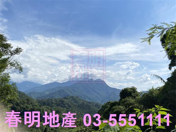 新竹橫山農地_林地_道路地-4