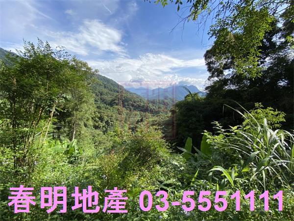 新竹橫山農地_林地_道路地-6