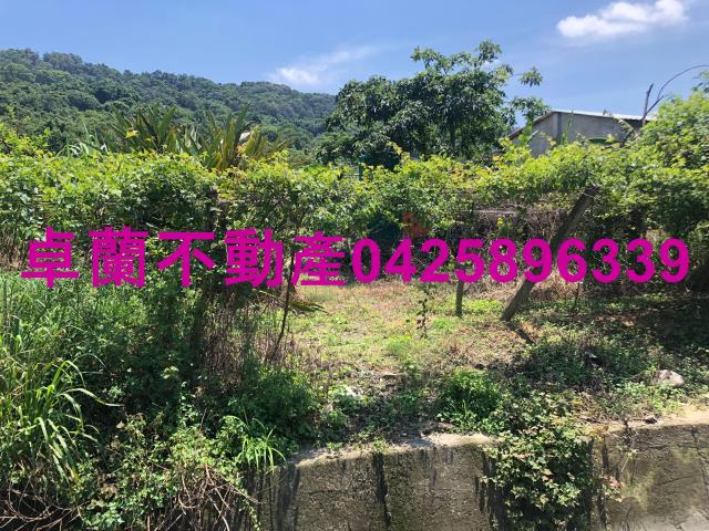 苗栗卓蘭農地-2