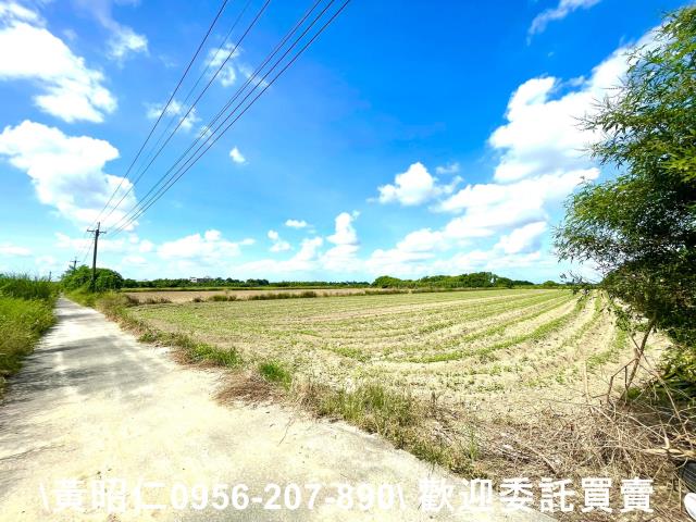 台南善化農地-5