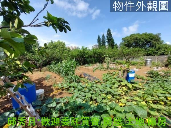 新北淡水二期二-3