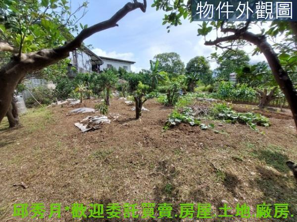 新北淡水二期二-6