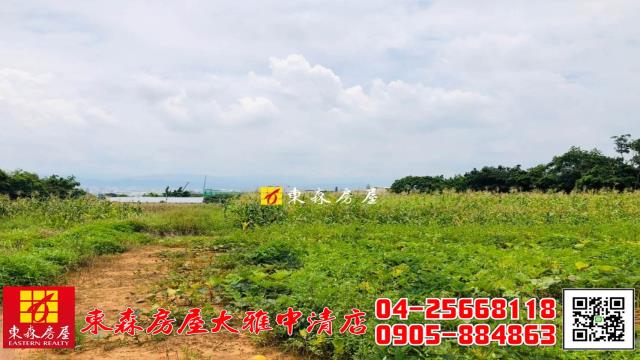 大雅農地-3