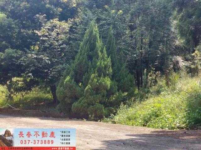 苗栗獅潭農地_建地_休閒地-3