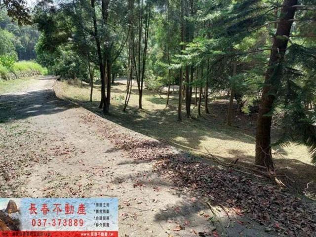 苗栗獅潭農地_建地_休閒地-6