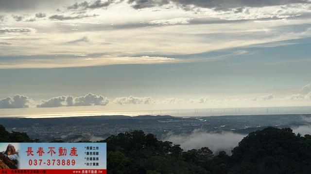 頭屋休閒地_林地-1