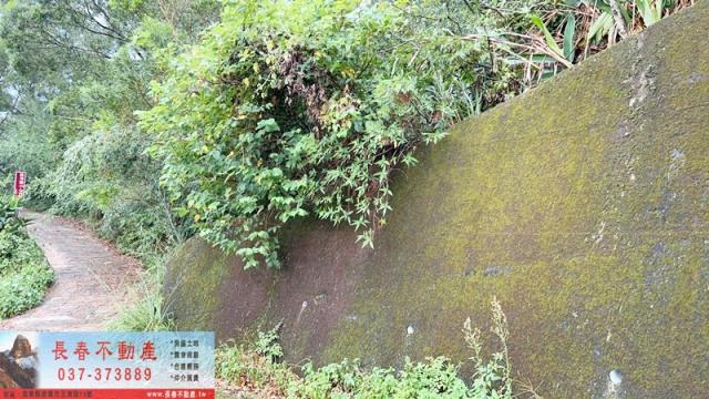 頭屋休閒地_林地-5