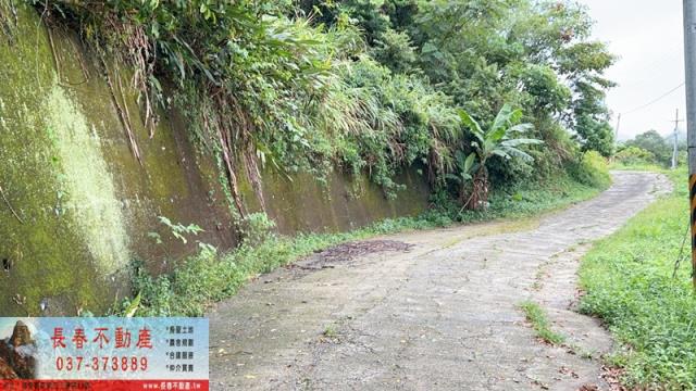 頭屋休閒地_林地-7