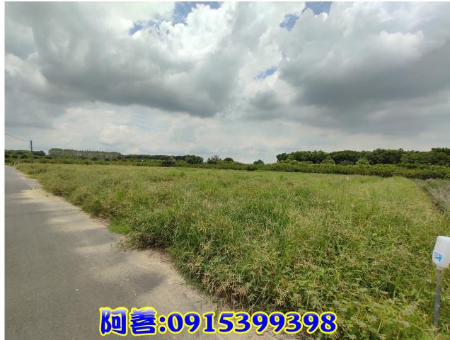 台南農地_休閒地-8