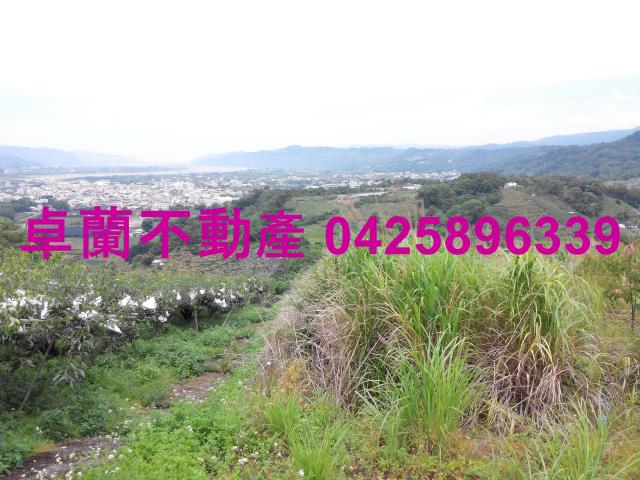 卓蘭農地-6