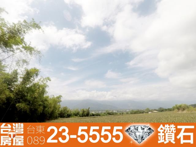 台東仲介公司