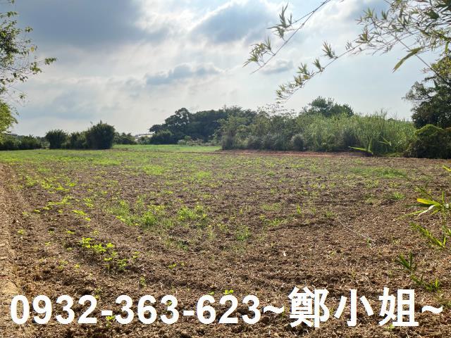 桃園新屋農地-4