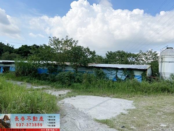 苗栗銅鑼農地_山坡地_休閒地-3