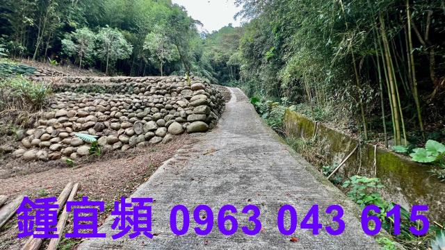 芎林農地_山坡地_林地-10