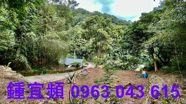 芎林農地_山坡地_林地-11