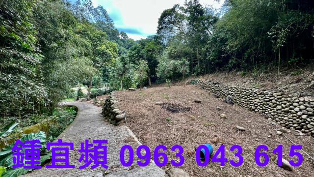 芎林農地_山坡地_林地-12
