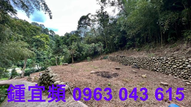 芎林農地_山坡地_林地-15