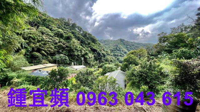 芎林農地_山坡地_林地-5