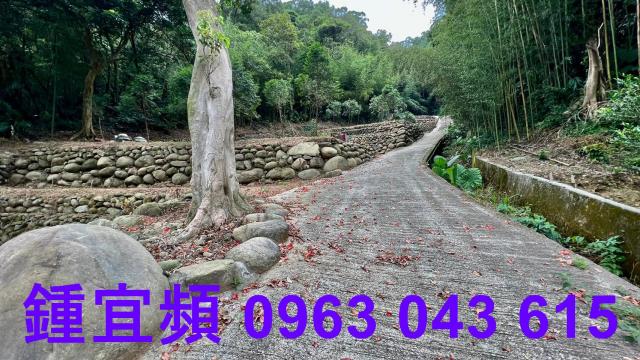 芎林農地_山坡地_林地-6