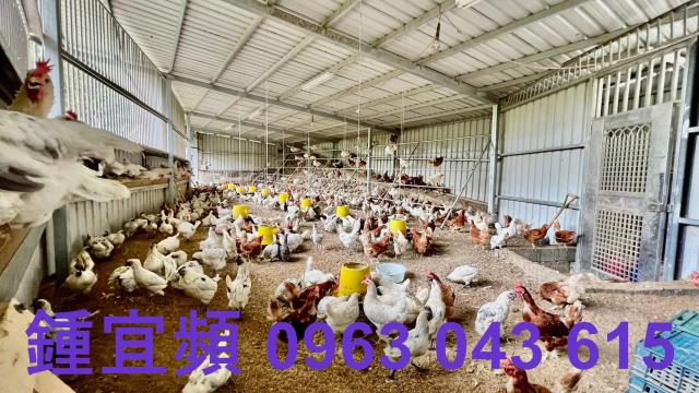 芎林農地-12