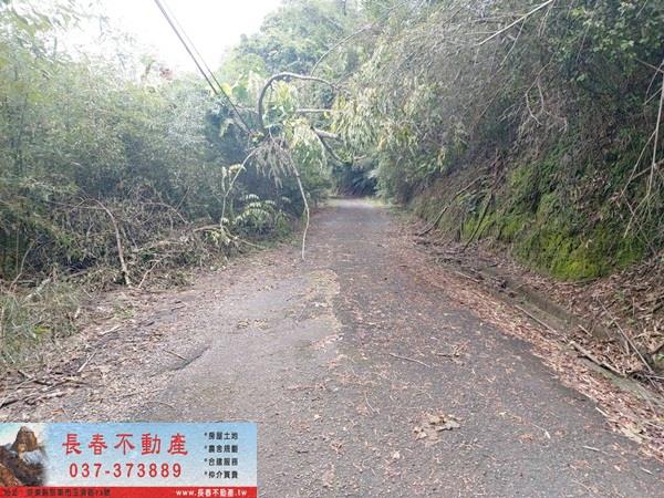 頭屋農地_山坡地-6