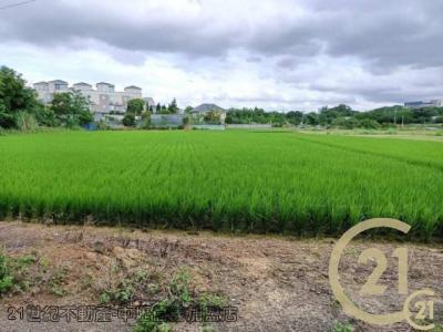 桃園平鎮農地-5