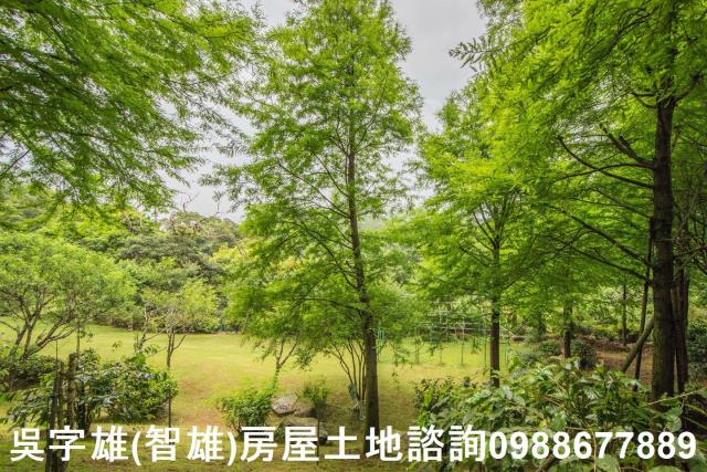 台北農地_建地_住宅地-10