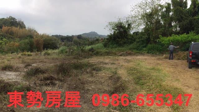 東勢農地_休閒地-14