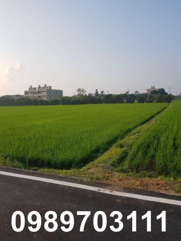 桃園農地-3