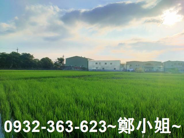 八德農地-7